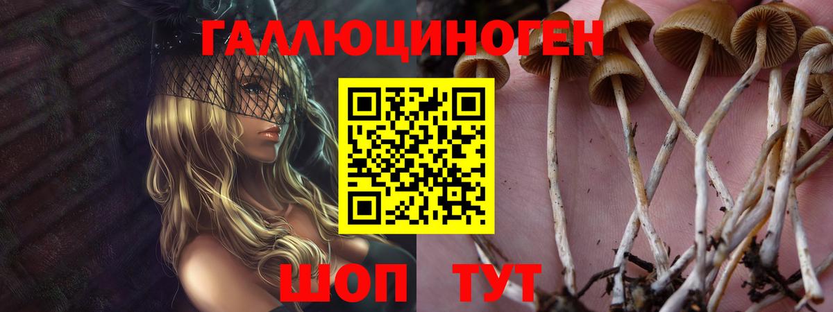 Галлюциногенные грибы MAGIC MUSHROOMS Мариинск